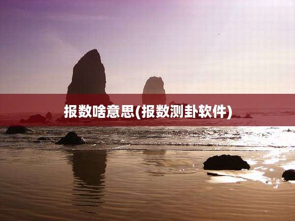 报数啥意思(报数测卦软件)