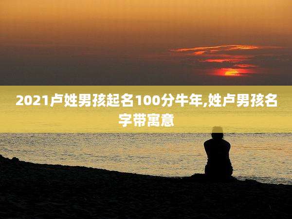 2021卢姓男孩起名100分牛年,姓卢男孩名字带寓意