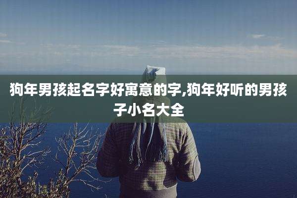 狗年男孩起名字好寓意的字,狗年好听的男孩子小名大全
