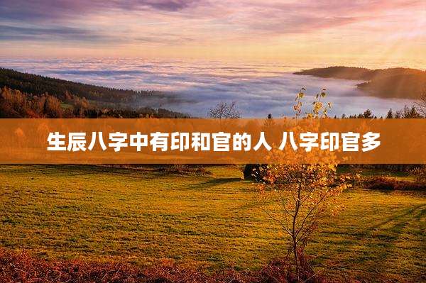 生辰八字中有印和官的人 八字印官多