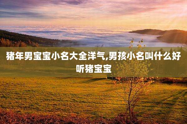 猪年男宝宝小名大全洋气,男孩小名叫什么好听猪宝宝