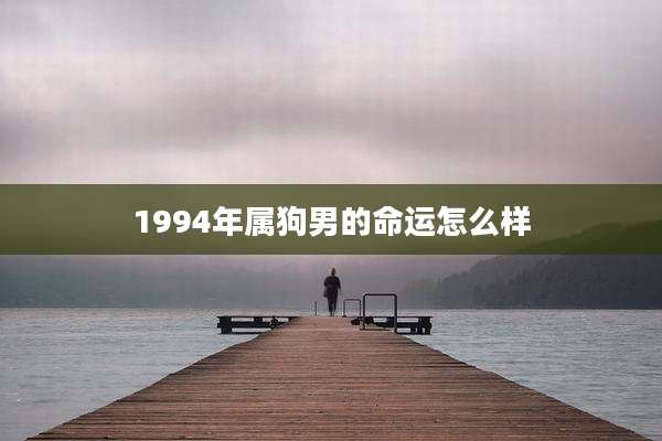 1994年属狗男的命运怎么样