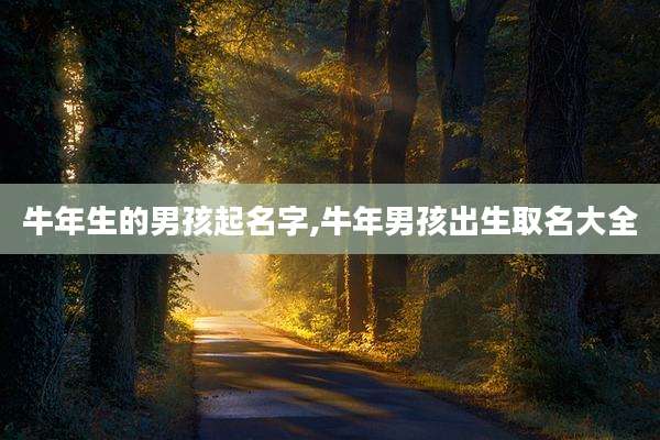 牛年生的男孩起名字,牛年男孩出生取名大全