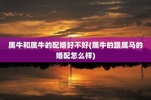 属牛和属牛的配婚好不好(属牛的跟属马的婚配怎么样)