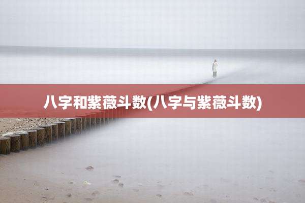 八字和紫薇斗数(八字与紫薇斗数)