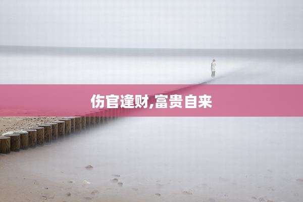 伤官逢财,富贵自来