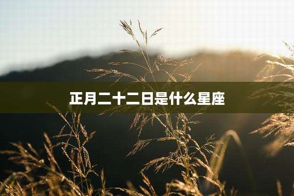 正月二十二日是什么星座
