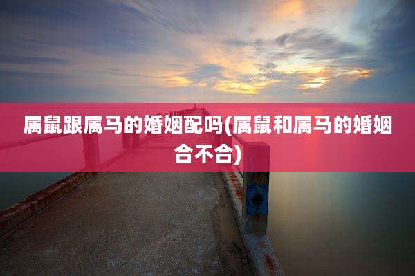属鼠跟属马的婚姻配吗(属鼠和属马的婚姻合不合)