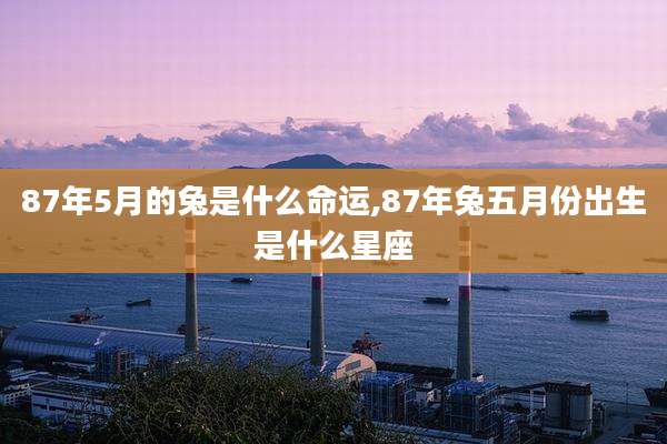 87年5月的兔是什么命运,87年兔五月份出生是什么星座