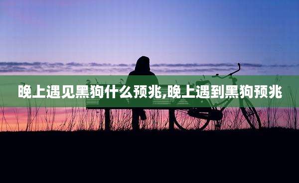 晚上遇见黑狗什么预兆,晚上遇到黑狗预兆