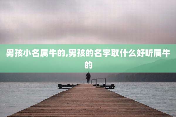 男孩小名属牛的,男孩的名字取什么好听属牛的