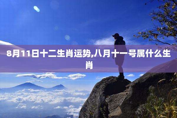 8月11日十二生肖运势,八月十一号属什么生肖