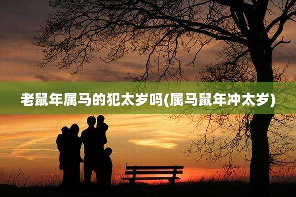 老鼠年属马的犯太岁吗(属马鼠年冲太岁)