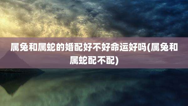 属兔和属蛇的婚配好不好命运好吗(属兔和属蛇配不配)