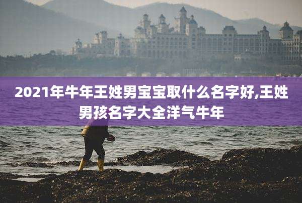 2021年牛年王姓男宝宝取什么名字好,王姓男孩名字大全洋气牛年