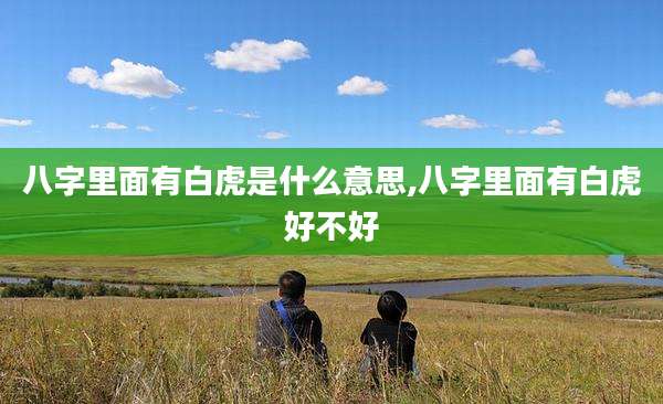八字里面有白虎是什么意思,八字里面有白虎好不好