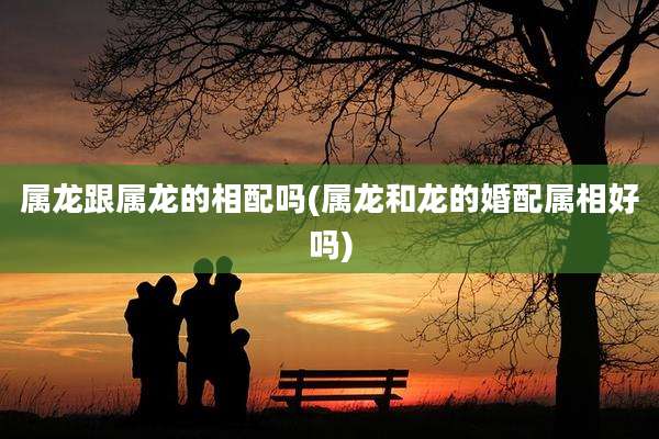 属龙跟属龙的相配吗(属龙和龙的婚配属相好吗)