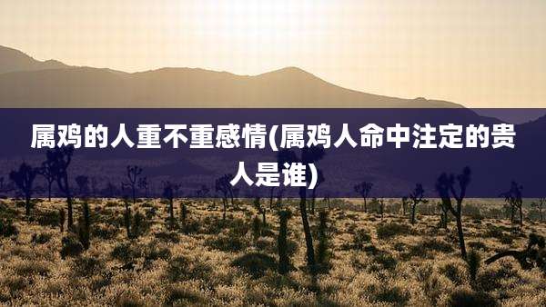 属鸡的人重不重感情(属鸡人命中注定的贵人是谁)