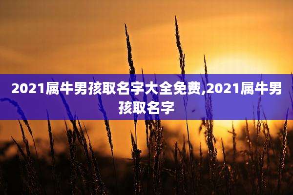 2021属牛男孩取名字大全免费,2021属牛男孩取名字