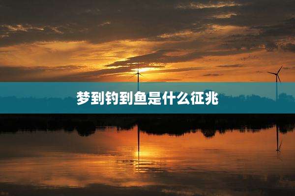 梦到钓到鱼是什么征兆