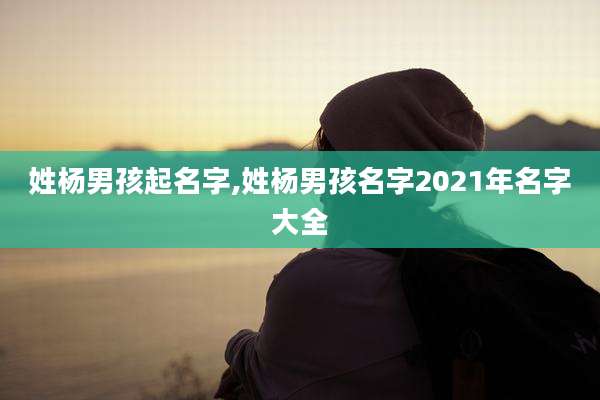 姓杨男孩起名字,姓杨男孩名字2021年名字大全