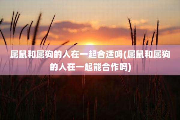 属鼠和属狗的人在一起合适吗(属鼠和属狗的人在一起能合作吗)