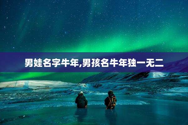 男娃名字牛年,男孩名牛年独一无二