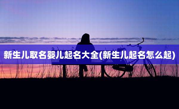 新生儿取名婴儿起名大全(新生儿起名怎么起)
