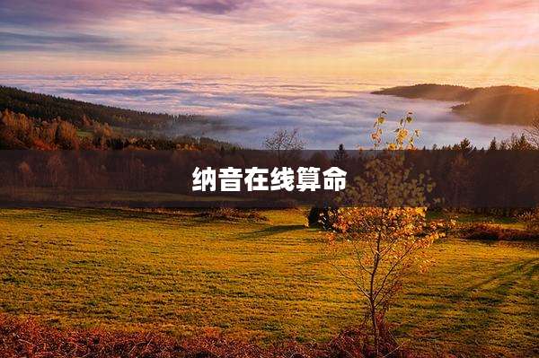 纳音在线算命