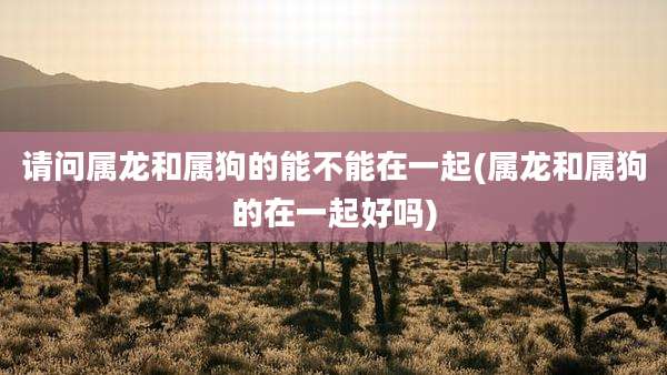请问属龙和属狗的能不能在一起(属龙和属狗的在一起好吗)