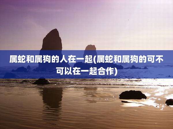 属蛇和属狗的人在一起(属蛇和属狗的可不可以在一起合作)