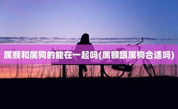 属猴和属狗的能在一起吗(属猴跟属狗合适吗)
