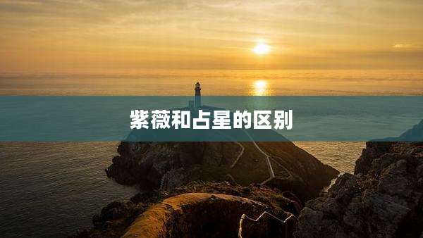 紫薇和占星的区别