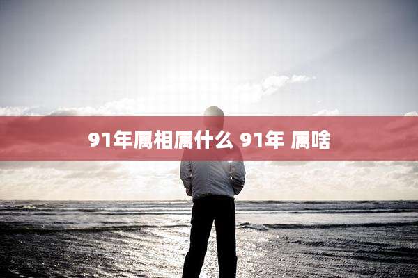91年属相属什么 91年 属啥