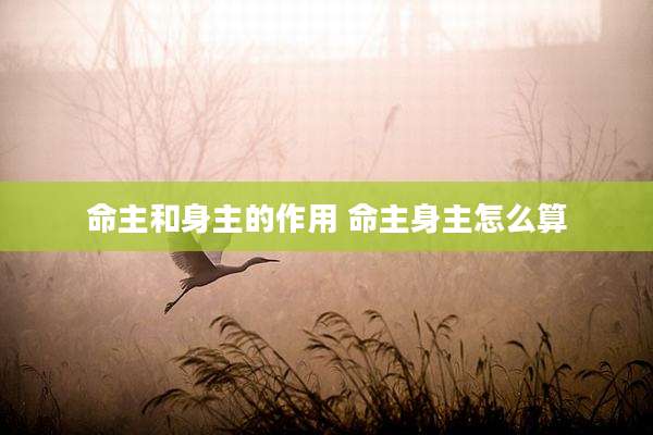 命主和身主的作用 命主身主怎么算