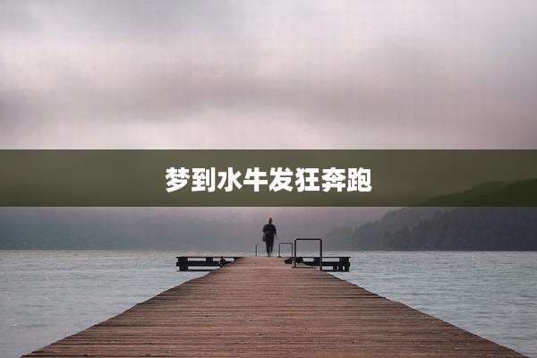 梦到水牛发狂奔跑