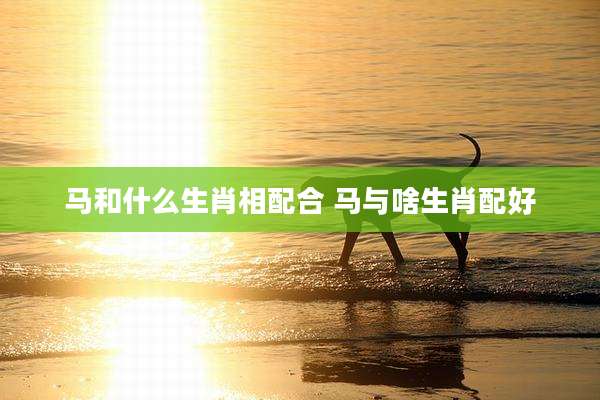 马和什么生肖相配合 马与啥生肖配好