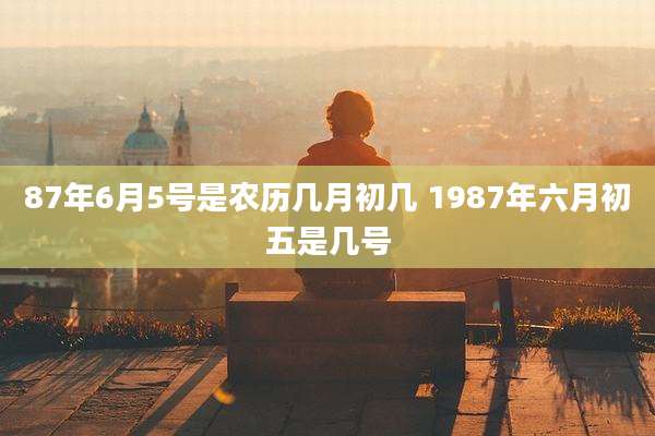 87年6月5号是农历几月初几 1987年六月初五是几号