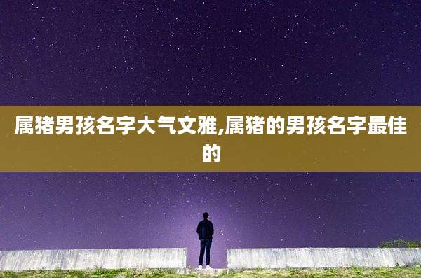 属猪男孩名字大气文雅,属猪的男孩名字最佳的
