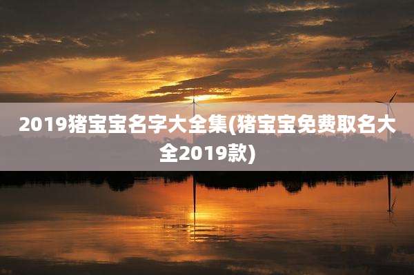 2019猪宝宝名字大全集(猪宝宝免费取名大全2019款)