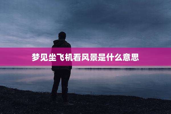 梦见坐飞机看风景是什么意思
