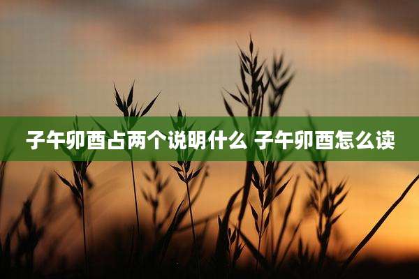 子午卯酉占两个说明什么 子午卯酉怎么读