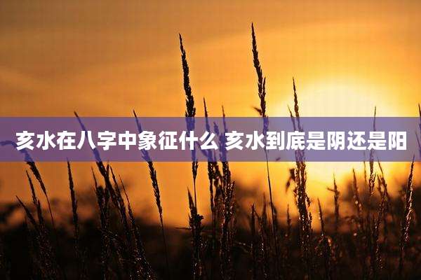 亥水在八字中象征什么 亥水到底是阴还是阳