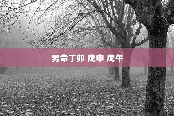 男命丁卯 戊申 戊午