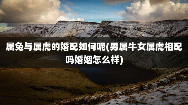 属兔与属虎的婚配如何呢(男属牛女属虎相配吗婚姻怎么样)