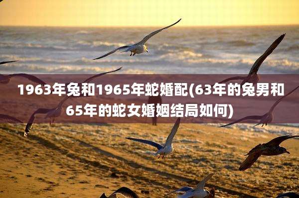 1963年兔和1965年蛇婚配(63年的兔男和65年的蛇女婚姻结局如何)