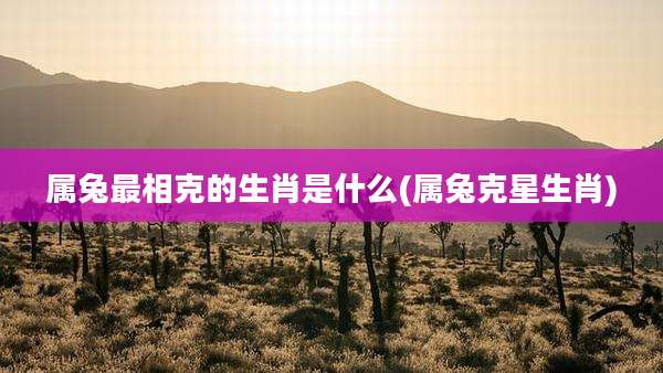 属兔最相克的生肖是什么(属兔克星生肖)