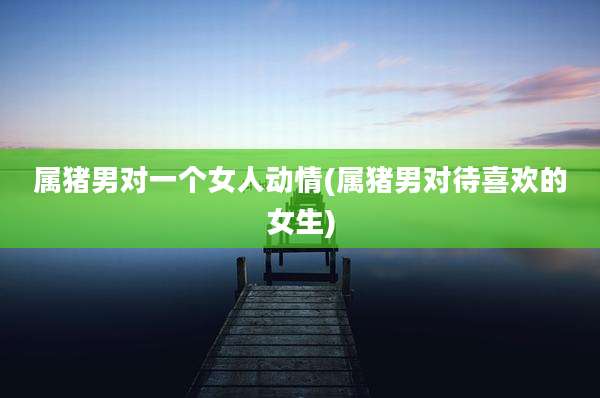 属猪男对一个女人动情(属猪男对待喜欢的女生)