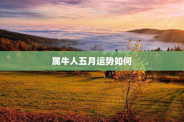 属牛人五月运势如何
