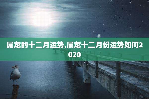 属龙的十二月运势,属龙十二月份运势如何2020